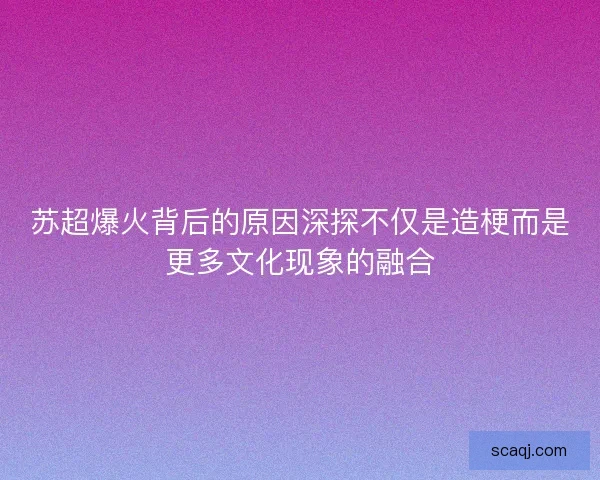 苏超爆火背后的原因深探不仅是造梗而是更多文化现象的融合